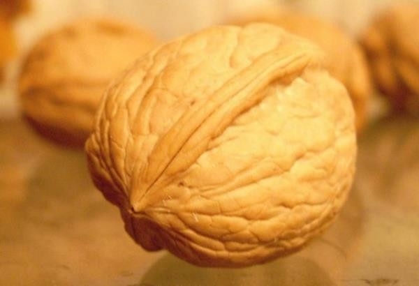 Kanserden koruyan 9 yiyecek! galerisi resim 9