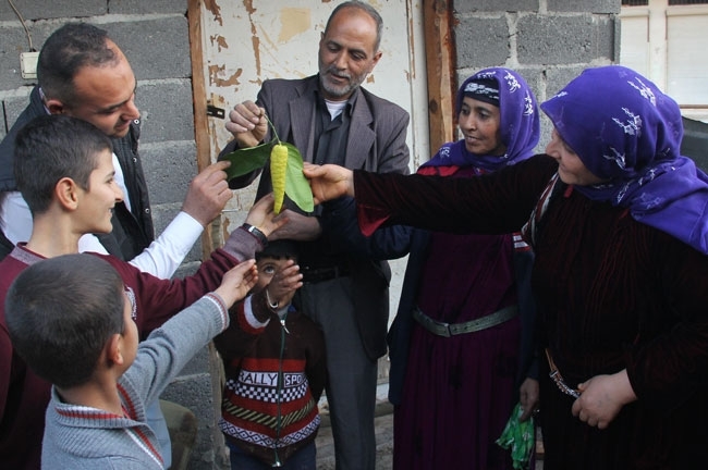 Biber görünümlü limon galerisi resim 3