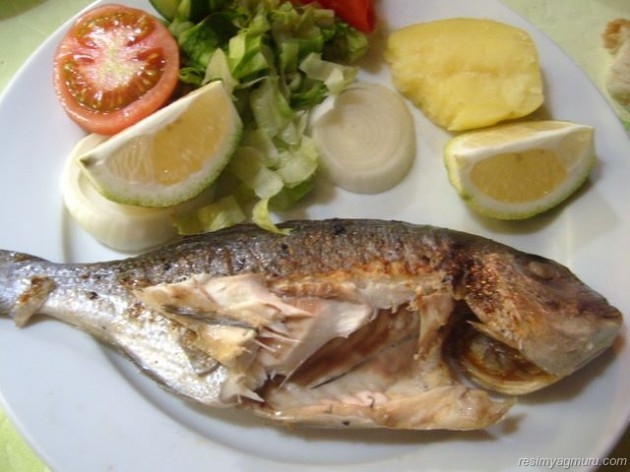 Balığın faydalarını biliyor musunuz? galerisi resim 15