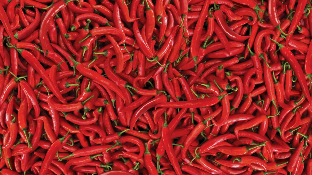 18 ADIMDA SAĞLIKLI VE ZİNDE OLMAK MÜMKÜN! galerisi resim 14