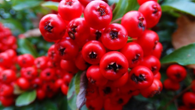 18 ADIMDA SAĞLIKLI VE ZİNDE OLMAK MÜMKÜN! galerisi resim 17