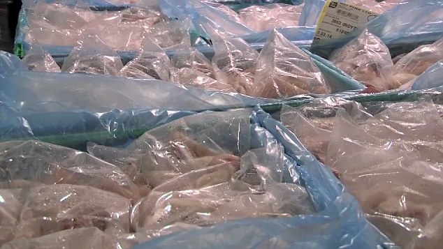 Ünlü Fast Food zincirinin perde arkası... Gazla öldürüyorlar... galerisi resim 7