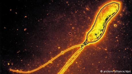 Kanseri önlemenin yedi yolu galerisi resim 5