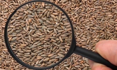 Gıda mühendisleri bütün rezilliği anlattı galerisi resim 15