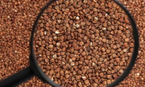 Gıda mühendisleri bütün rezilliği anlattı galerisi resim 2