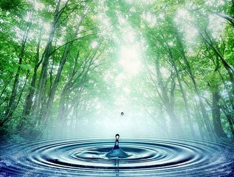 Vücuttan Ödem Attıran 9 Besin galerisi resim 29