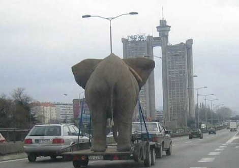 İstihap haddini aşan taşıtlar (çok komik) - 1 galerisi resim 22