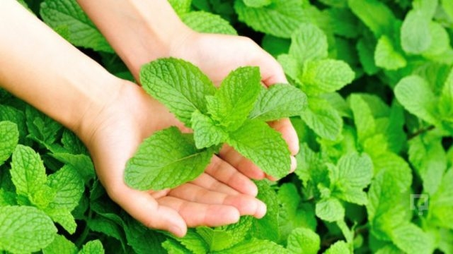 Kilo vermenizi kolaylaştıracak 23 ipucu! galerisi resim 2