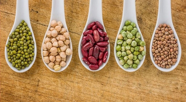 Bilimsel olarak kanıtlanmış 20 kilo verme yöntemi galerisi resim 13