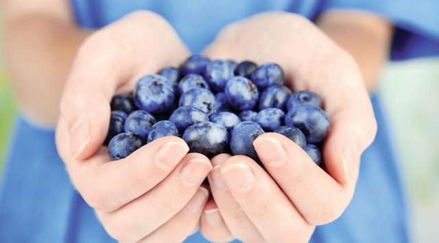 Bilimsel olarak kanıtlanmış 20 kilo verme yöntemi galerisi resim 9