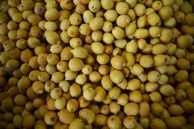 Limon dilimleriyle uyumanın faydaları galerisi resim 18