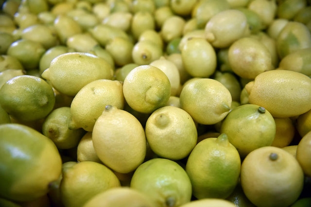 Limon dilimleriyle uyumanın faydaları galerisi resim 20