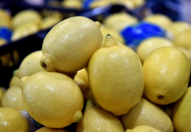 Limon dilimleriyle uyumanın faydaları galerisi resim 24