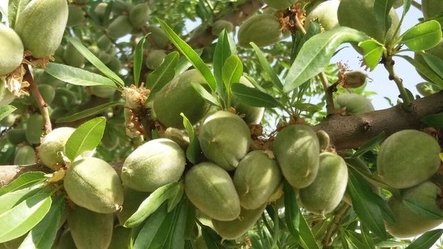 Bademin faydaları saymakla bitmiyor... galerisi resim 14