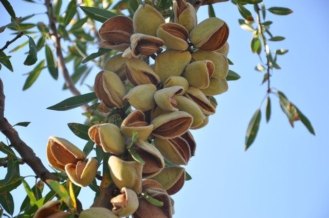 Bademin faydaları saymakla bitmiyor... galerisi resim 5