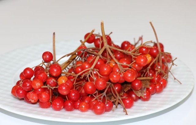 Gilaburu meyvesi kanserden koruyor galerisi resim 3