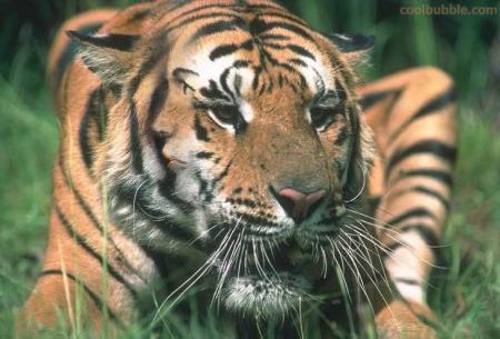 En ilginç 'göz yanılgıları' galerisi resim 23