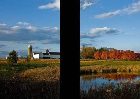 Hayvanlar dünyayı nasıl görüyor? galerisi resim 10