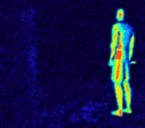 Hayvanlar dünyayı nasıl görüyor? galerisi resim 8