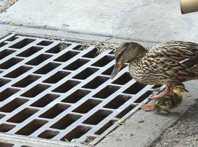 Çok güleceksiniz galerisi resim 8