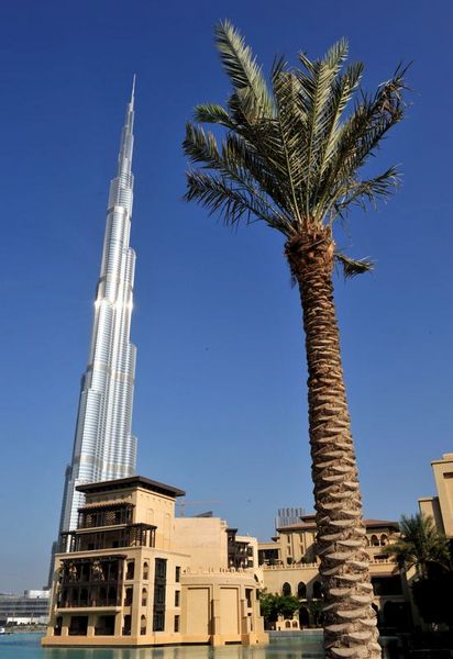 Dünya Dubai devine aşık oldu galerisi resim 6