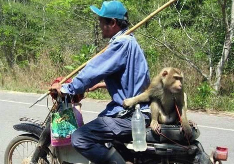 İstihap haddini aşan taşıtlar - 2 (fena komik) galerisi resim 12