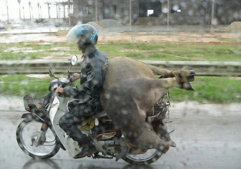 İstihap haddini aşan taşıtlar - 2 (fena komik) galerisi resim 13