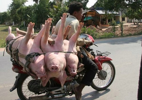 İstihap haddini aşan taşıtlar - 2 (fena komik) galerisi resim 16