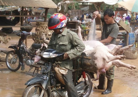 İstihap haddini aşan taşıtlar - 2 (fena komik) galerisi resim 20