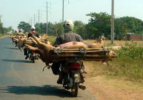 İstihap haddini aşan taşıtlar - 2 (fena komik) galerisi resim 22