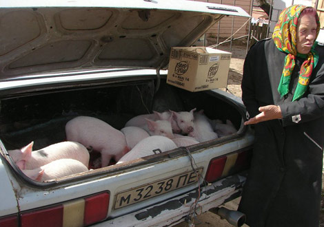 İstihap haddini aşan taşıtlar - 2 (fena komik) galerisi resim 23