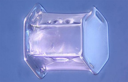 Mikroskobik dünyanın en iyi fotoğrafları galerisi resim 13