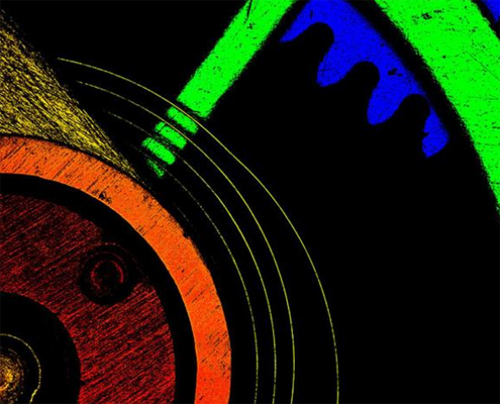 Mikroskobik dünyanın en iyi fotoğrafları galerisi resim 14