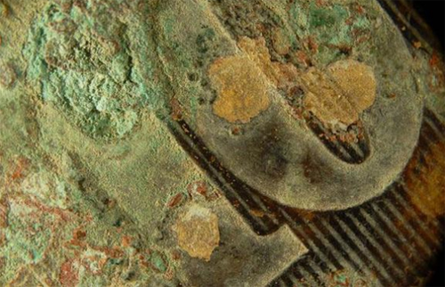 Mikroskobik dünyanın en iyi fotoğrafları galerisi resim 15