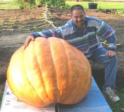 Dev sebzeler galerisi resim 12