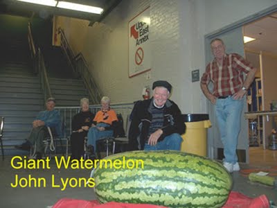 Dev sebzeler galerisi resim 4