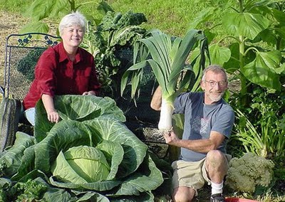 Dev sebzeler galerisi resim 5