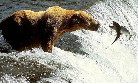 En sulu fotoğraflar galerisi resim 10