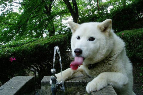 En sulu fotoğraflar galerisi resim 19