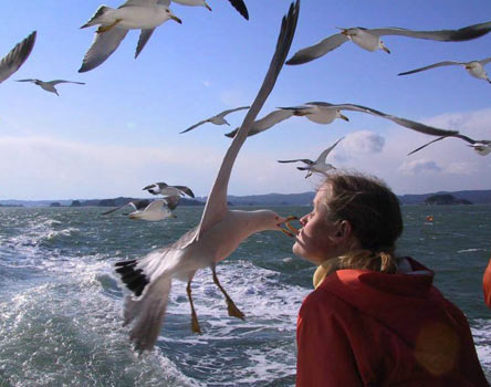 En sulu fotoğraflar galerisi resim 2