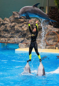 En sulu fotoğraflar galerisi resim 22