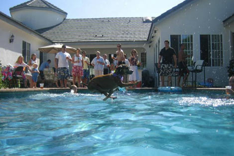 En sulu fotoğraflar galerisi resim 24