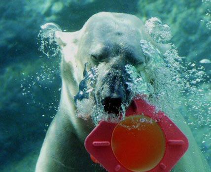 En sulu fotoğraflar galerisi resim 25