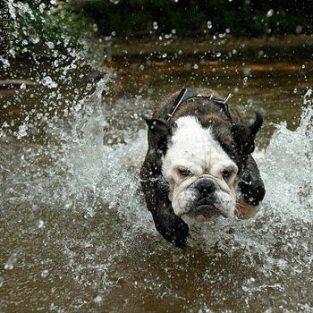 En sulu fotoğraflar galerisi resim 26