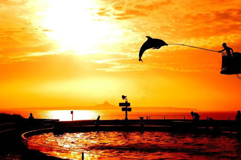 En sulu fotoğraflar galerisi resim 31