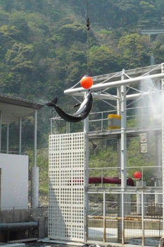 En sulu fotoğraflar galerisi resim 32