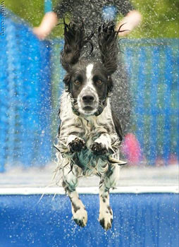 En sulu fotoğraflar galerisi resim 33