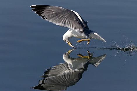 En sulu fotoğraflar galerisi resim 36