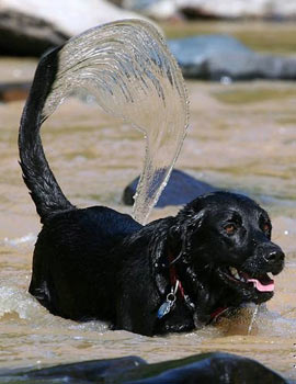 En sulu fotoğraflar galerisi resim 39