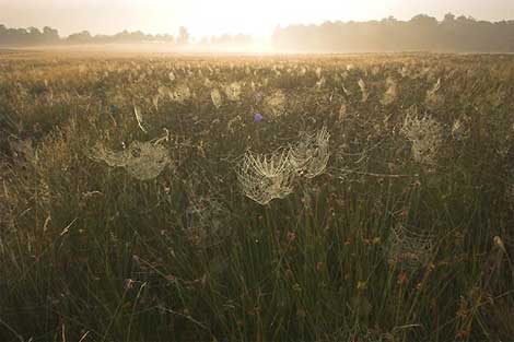 Yaradanın doğadaki harikaları! galerisi resim 16